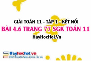 Giải bài 4.6 trang 77 Toán 11 tập 1 SGK Kết nối tri thức